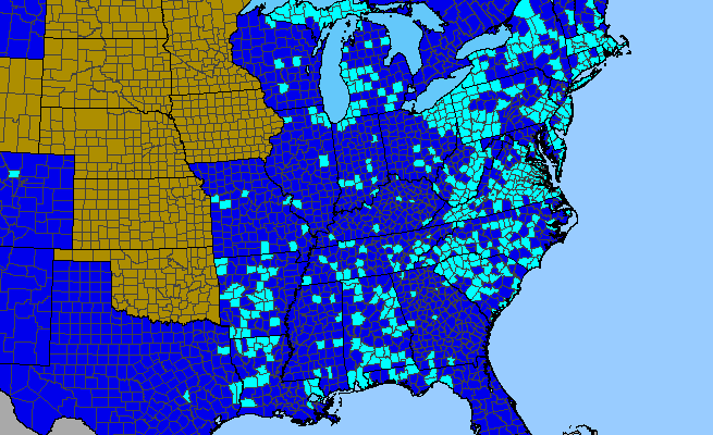 The range of Hypochaeris radicata